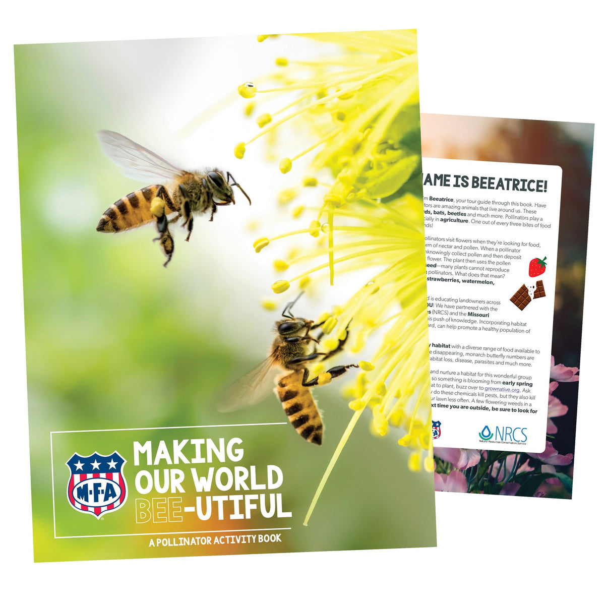 Pollinator Activity Book – myMFA Shop