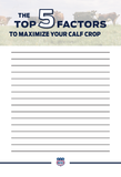 Top 5 Factors: Maximize Calf - Flyer