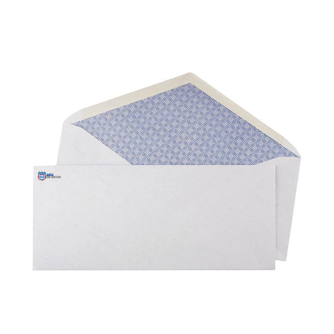 Envelopes | #10 with No Window and Store Imprint