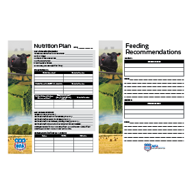 Nutrition Plan/Feeding Recommendations Sheet